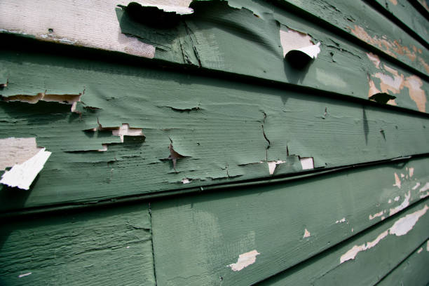 Best Custom Trim and Detailing for Siding  in Mount Olive, AL