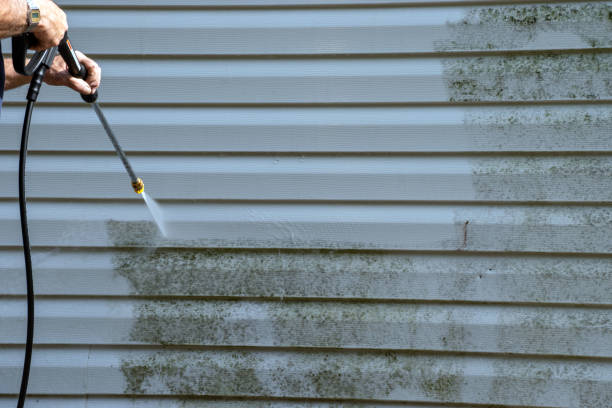 Best Aluminum Siding Installation  in Mount Olive, AL