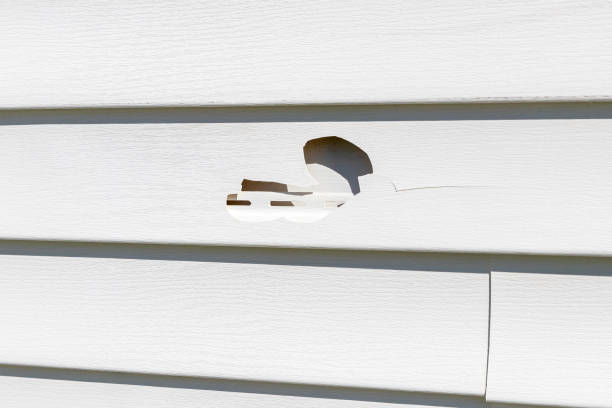 Best Stucco Siding  in Mount Olive, AL