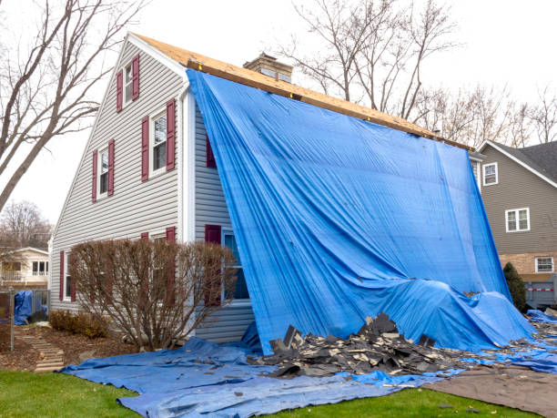 Best Fascia and Soffit Installation  in Mount Olive, AL