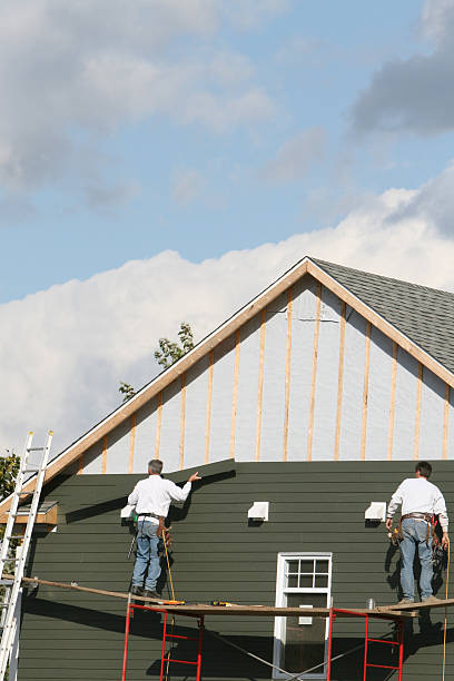 Best Siding Removal and Disposal  in Mount Olive, AL