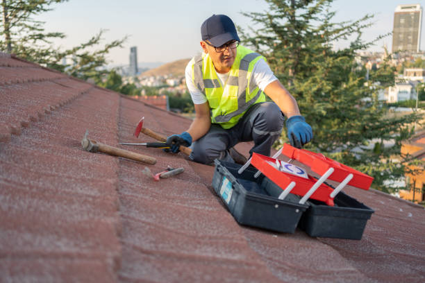 Best Siding for New Construction  in Mount Olive, AL